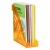Лоток для бумаг вертикальный СТАММ "Эксперт", тонированный, цвет манго, ширина 95мм